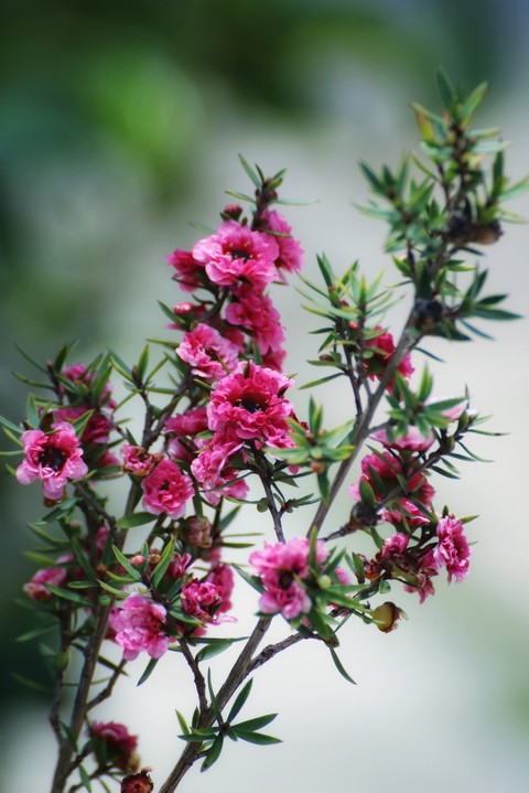 Unknown name