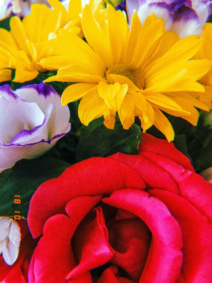 bouquet