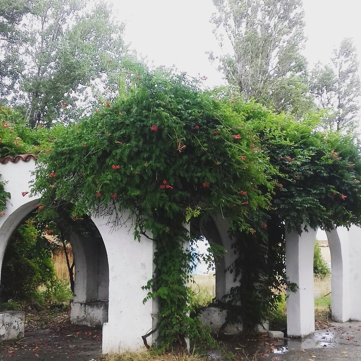 Ruins