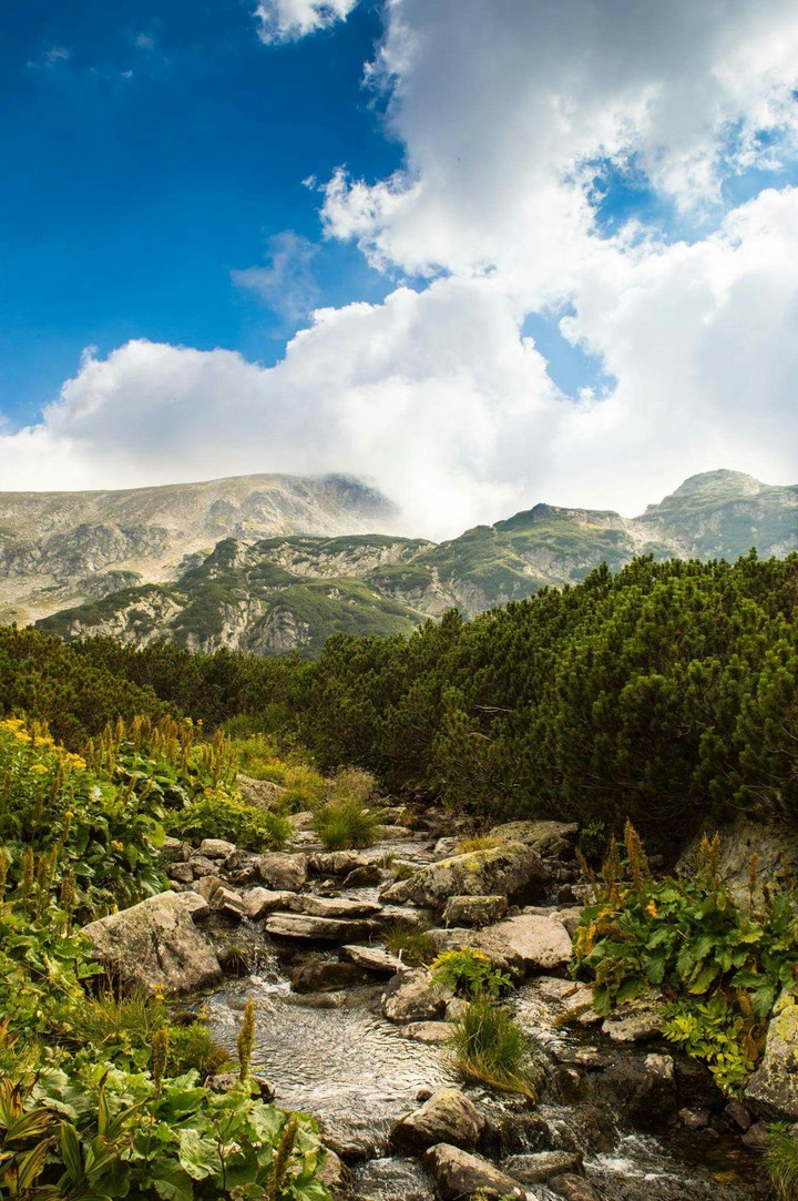 where the mountains meet the sky