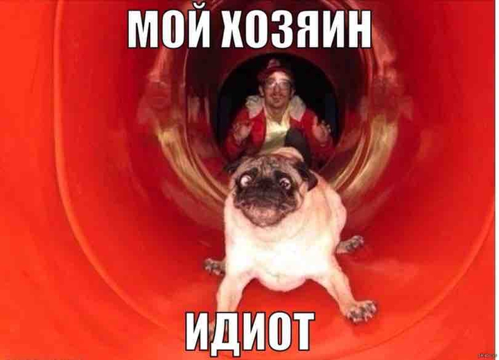 funny foto reading