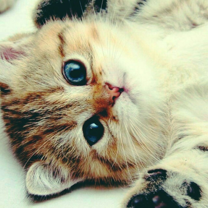 soo cute 