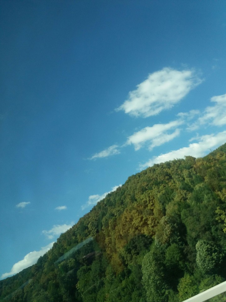 sakarya