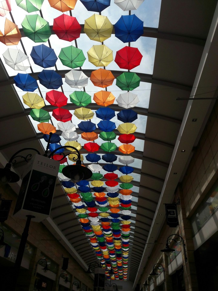 Umbrella