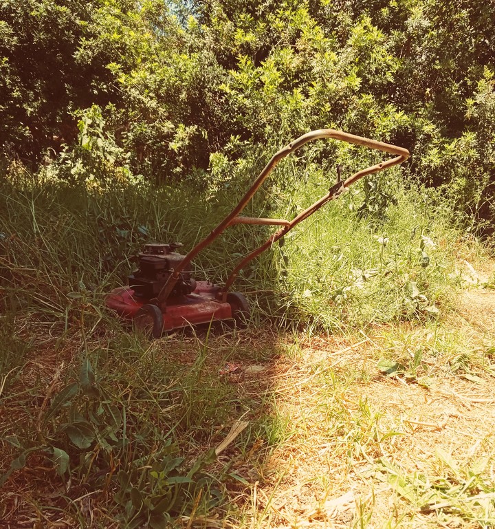 outdated , summer