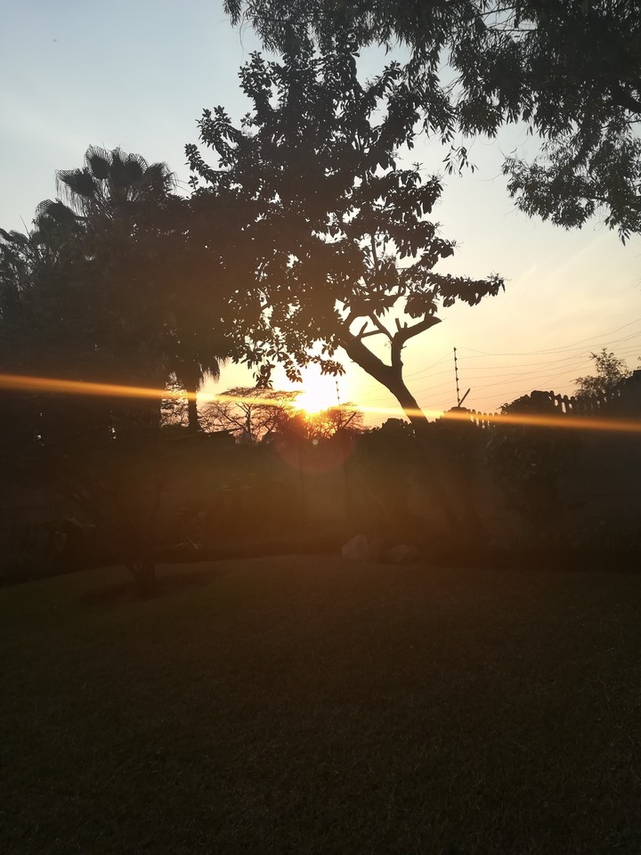 Beautiful African sunset!
