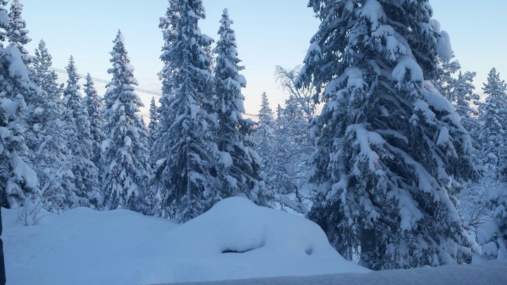 lovely wintermorning