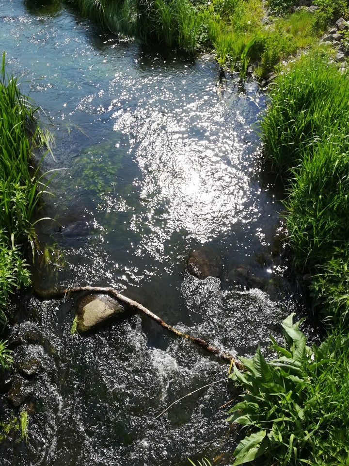 Fischtreppe
