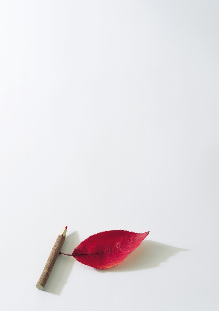 가을이미지