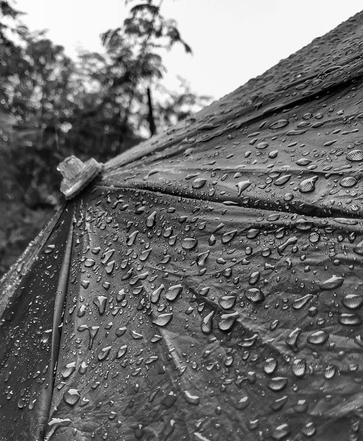 Drop