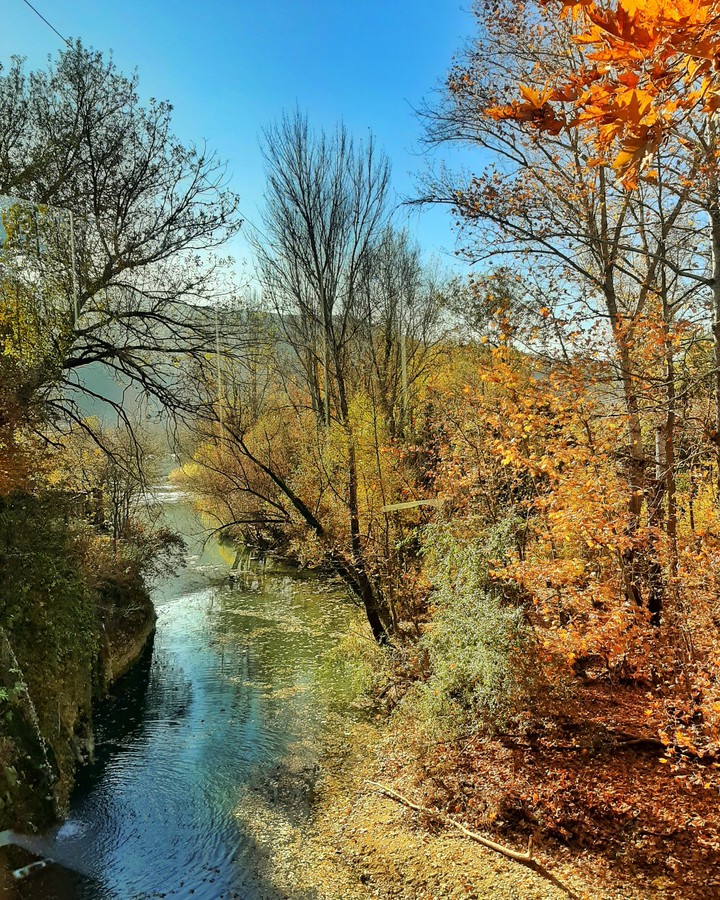 autumn