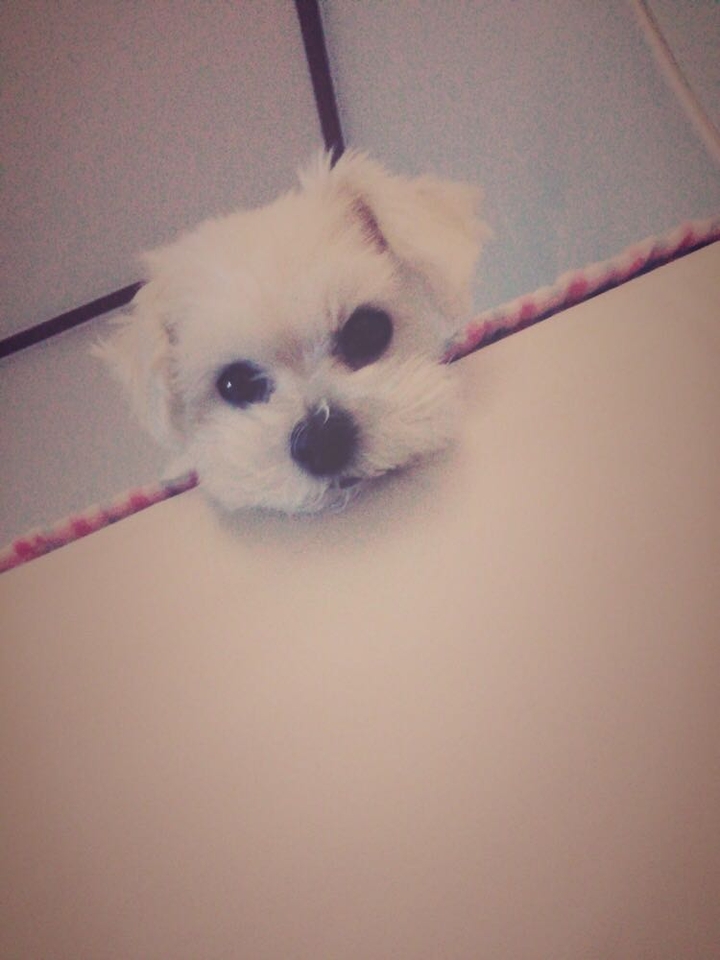 빼꼼~