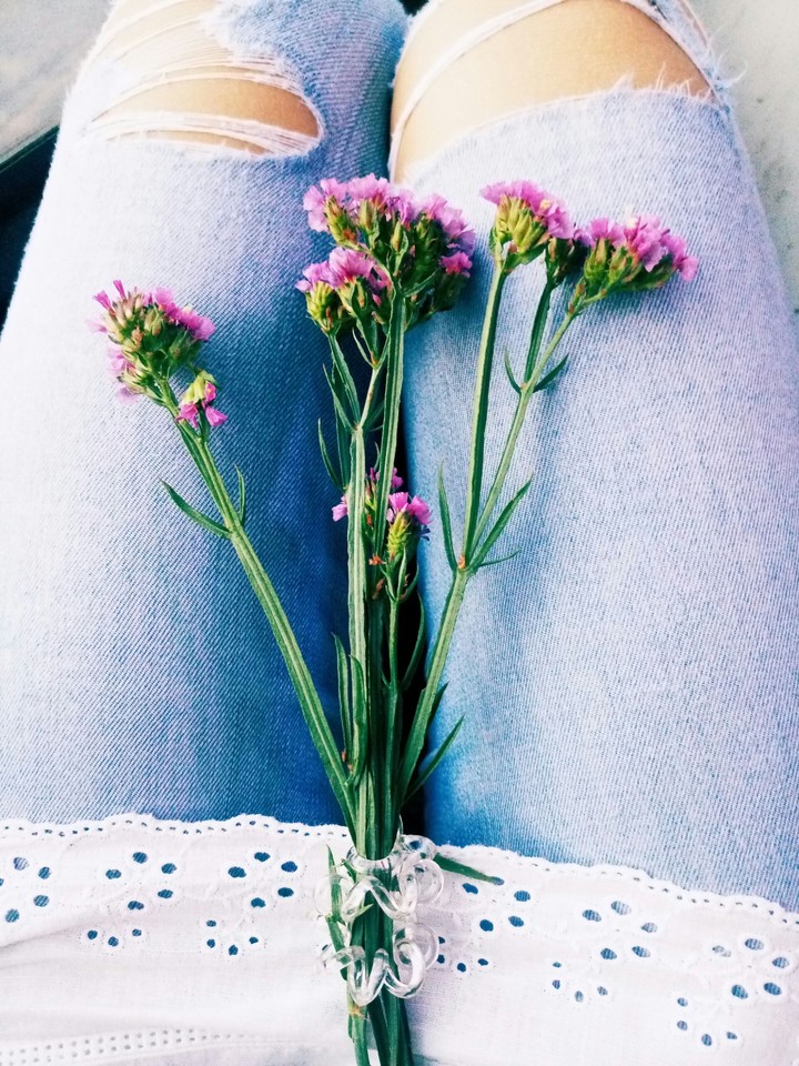 everlasting flowers