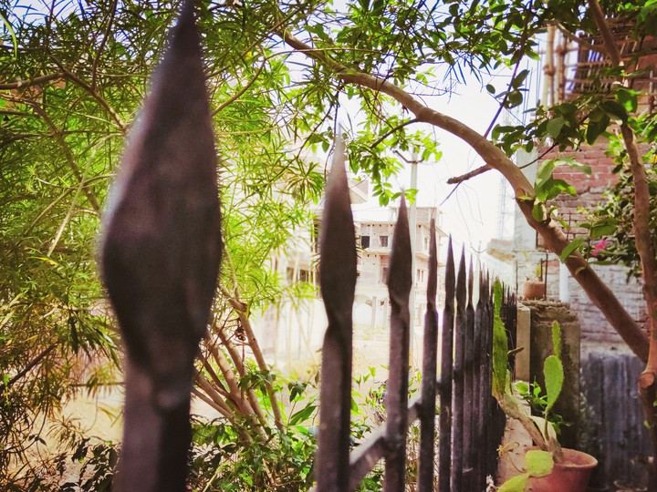 #nature