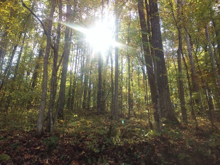 pretty day