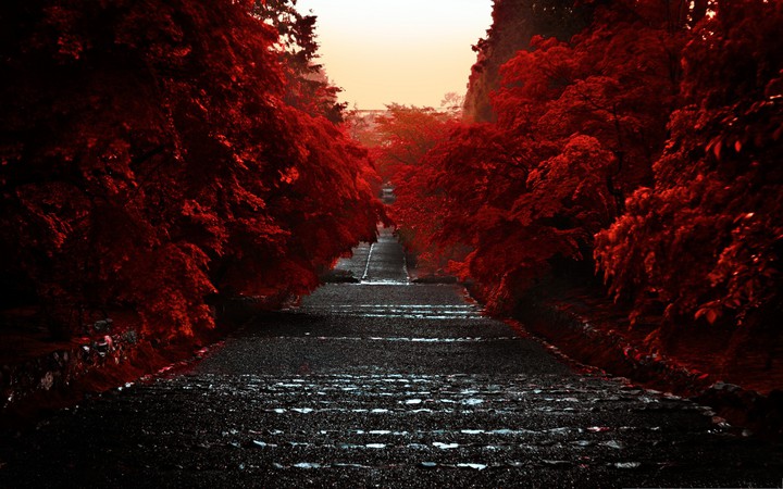#road