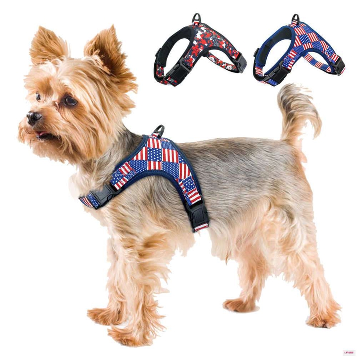 DOOOG