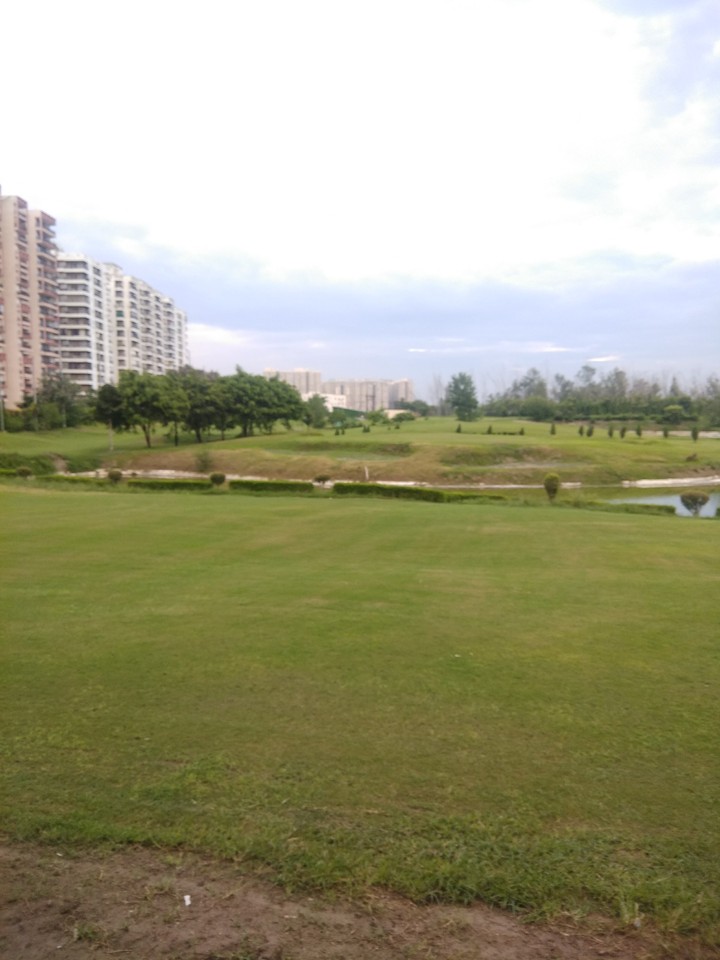 Golf Course