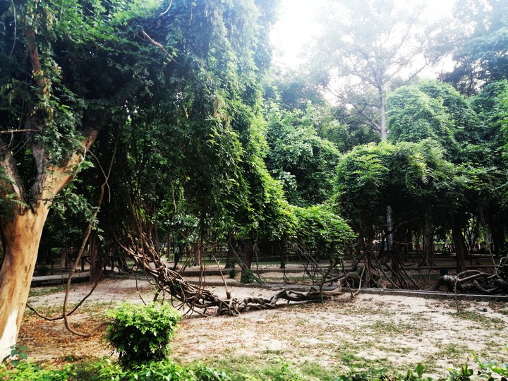 Nature!!