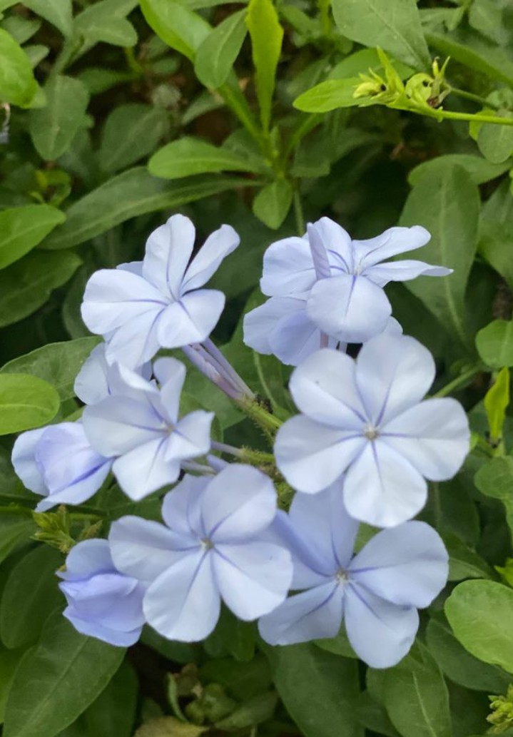#nature#wallpaper