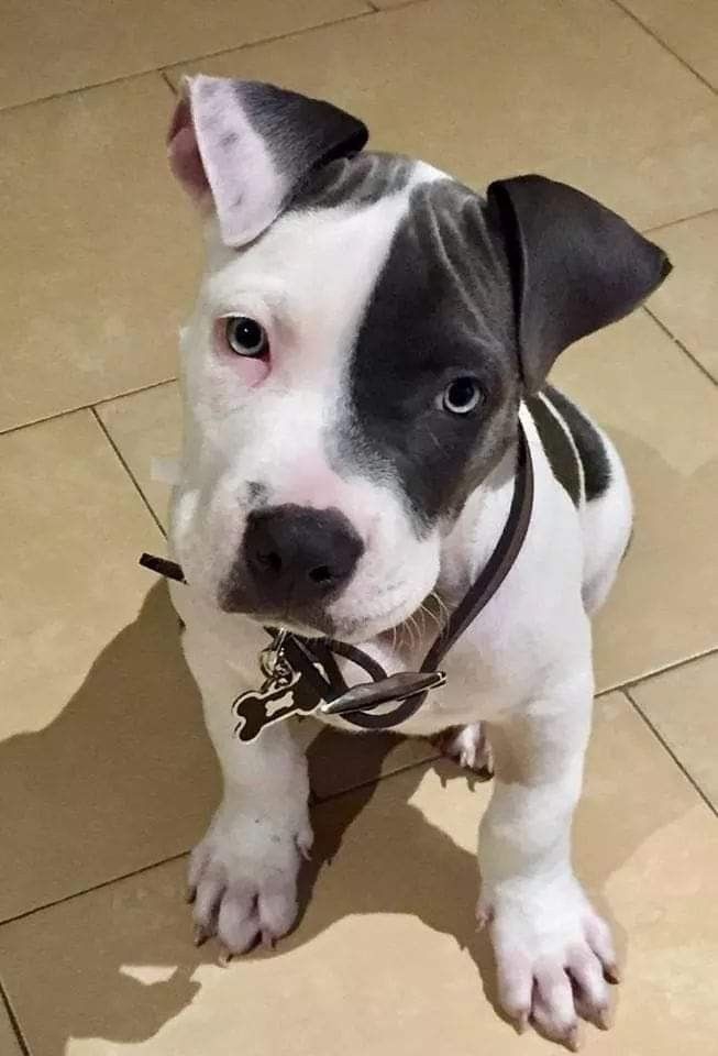 ♥️♥️♥️