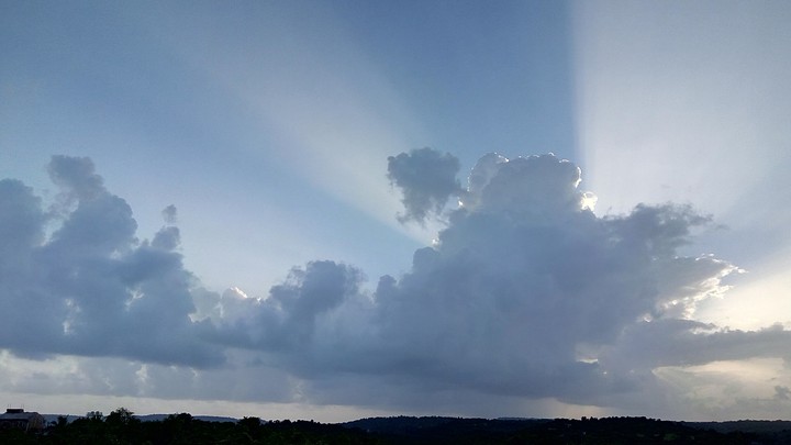rays