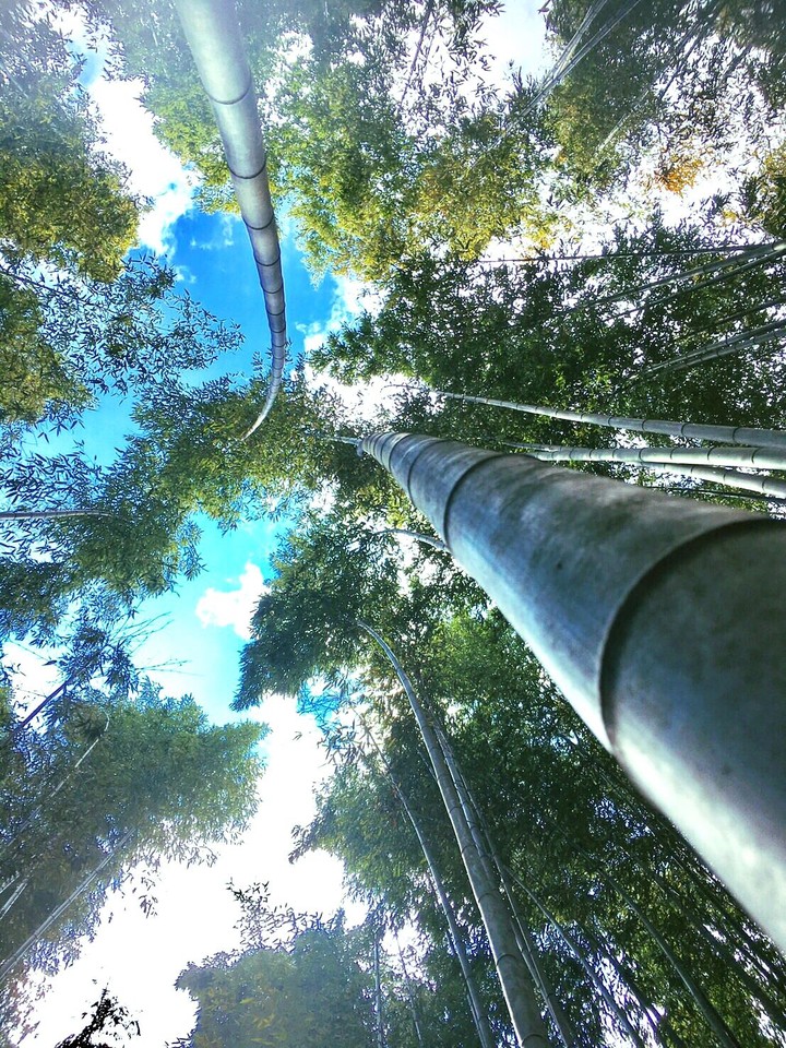 in kyoto