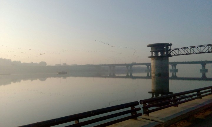 flock by the river