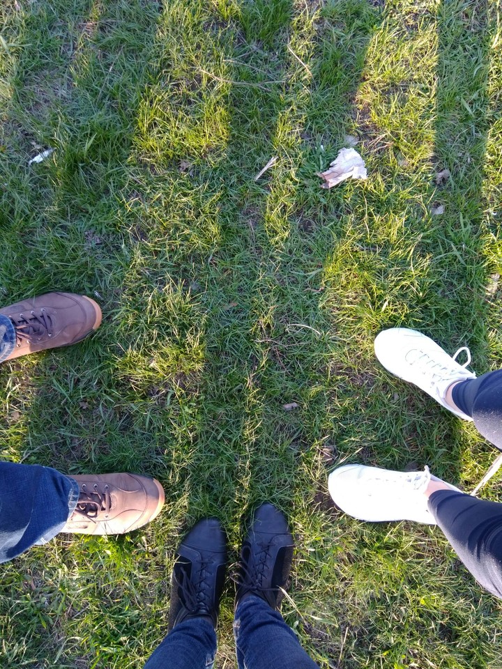 grass