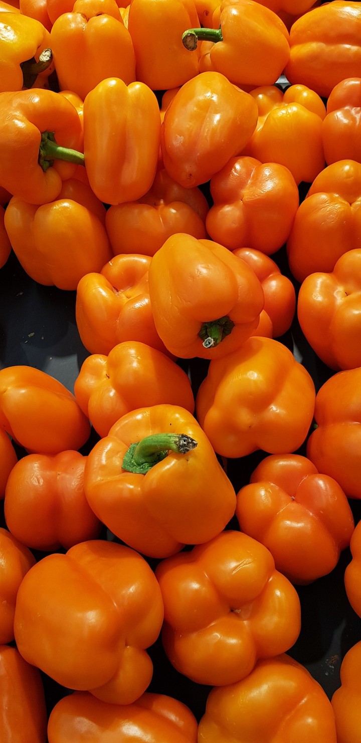capsicum vegetable