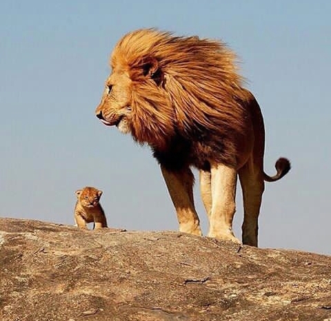 a family always be together 
