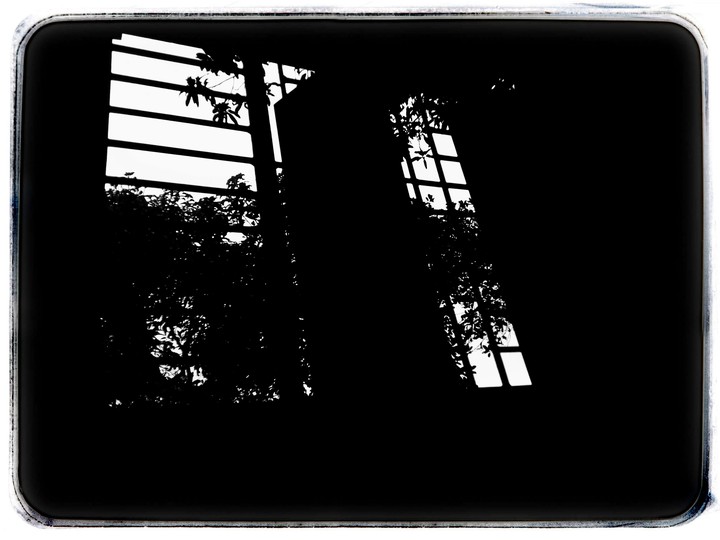 Dark# 346788