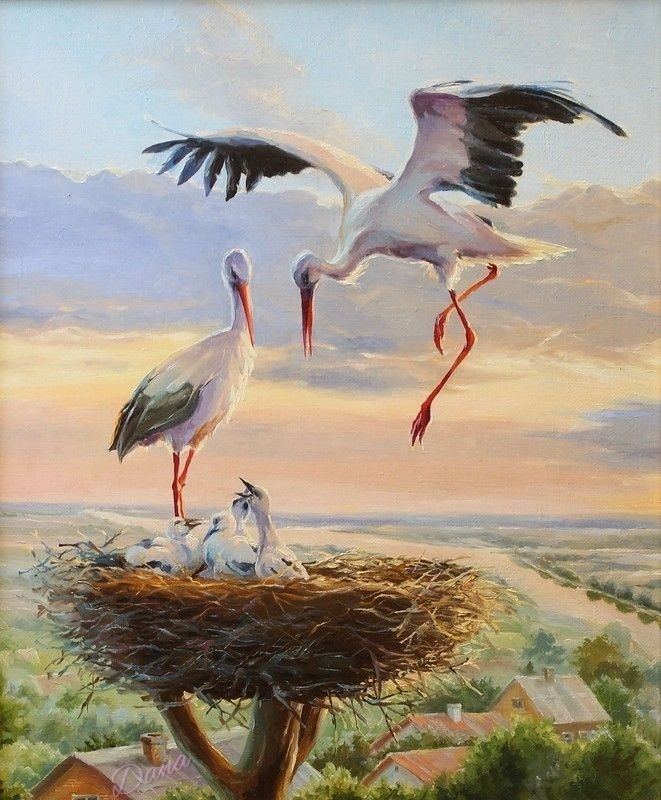 Storks nest