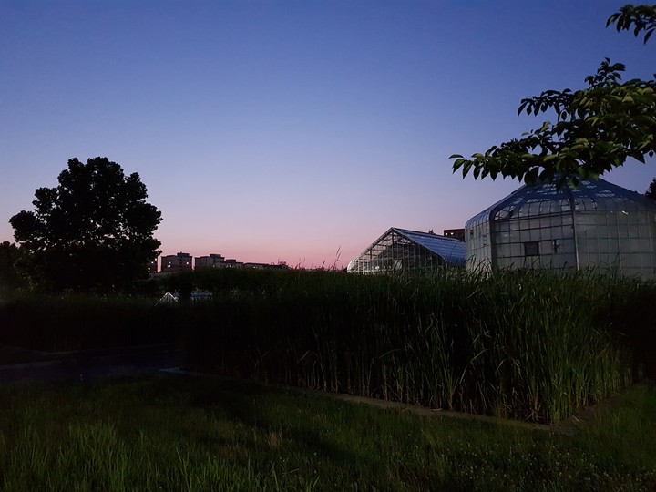 a peaceful sunset