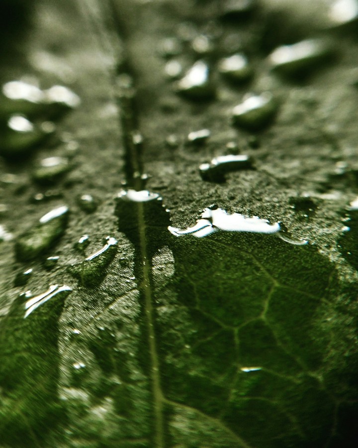 droplets