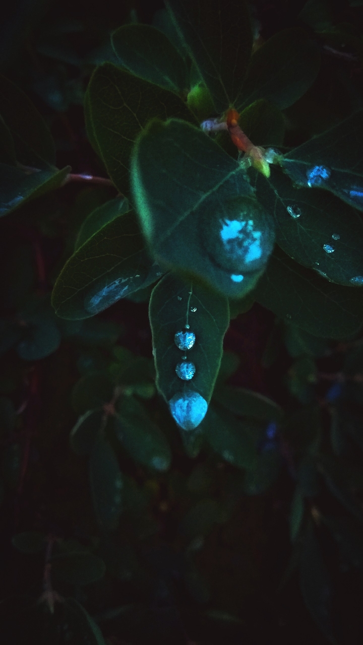 Drops of water on a sheet