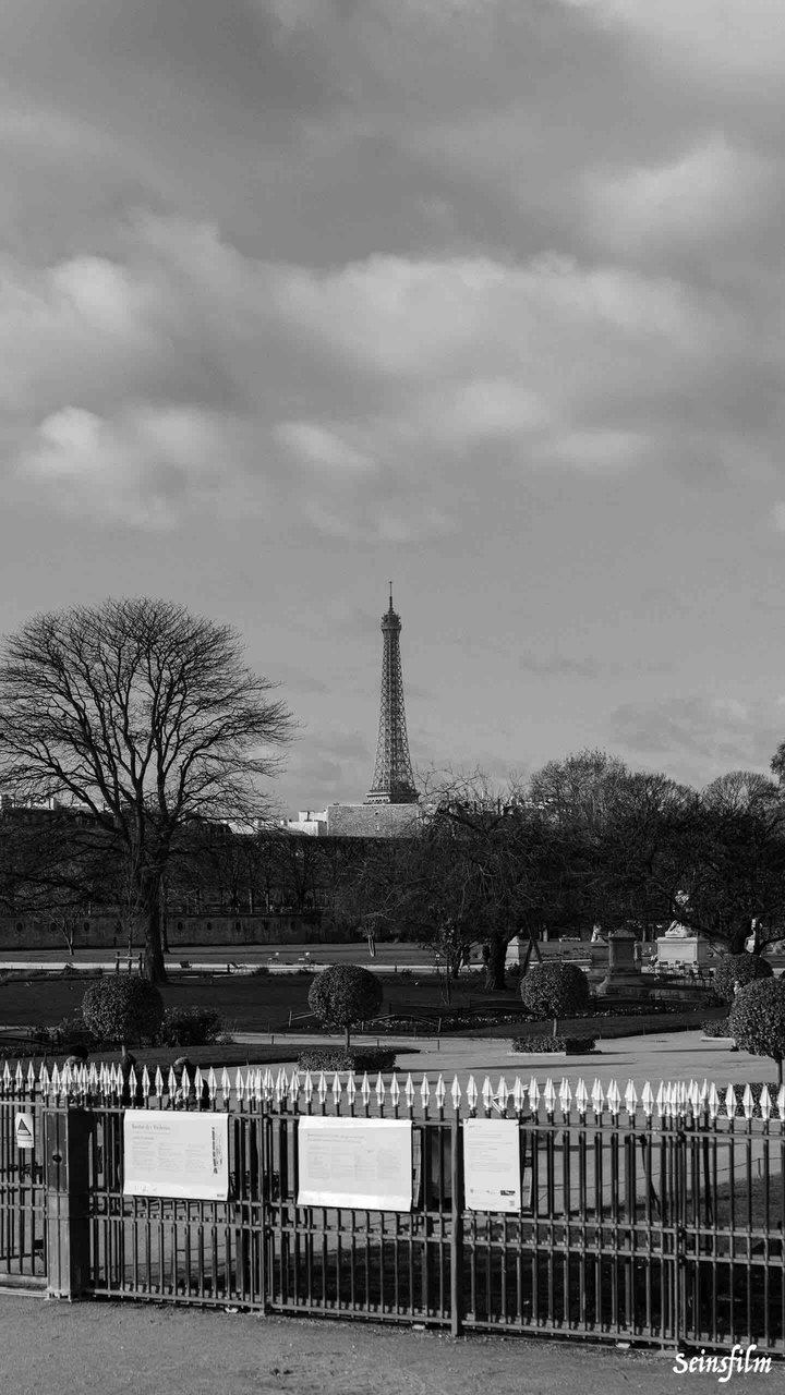 Paris, France Jadins des tuileries