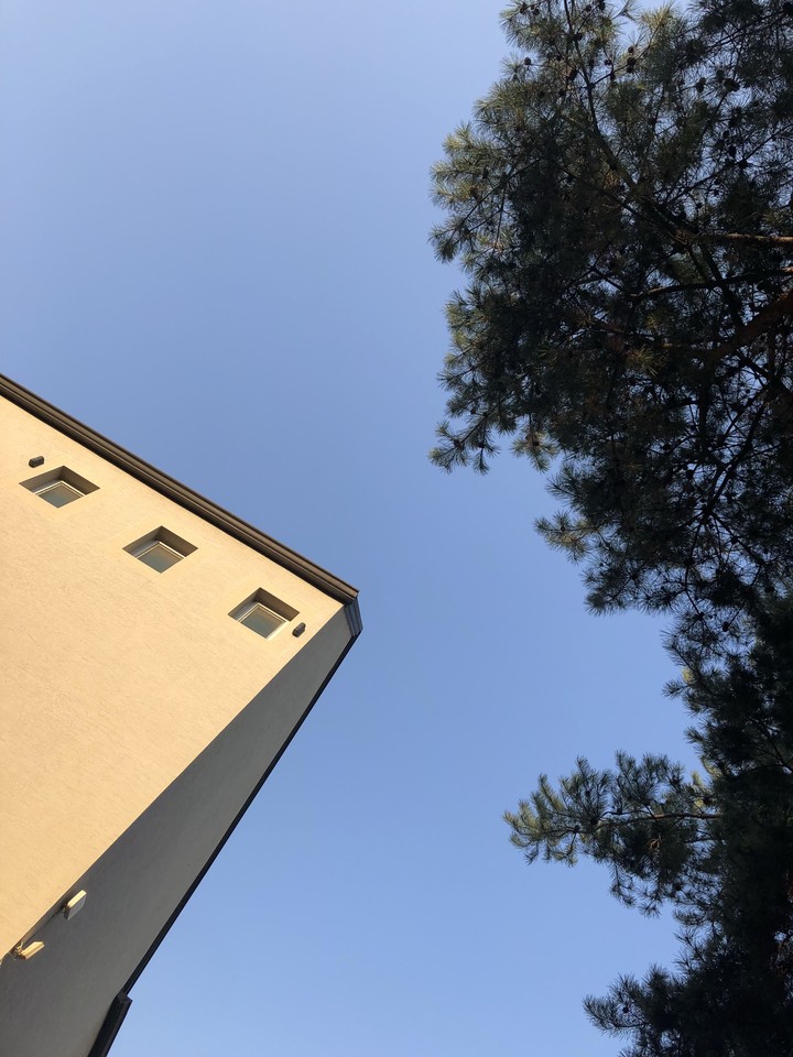 house sky tree