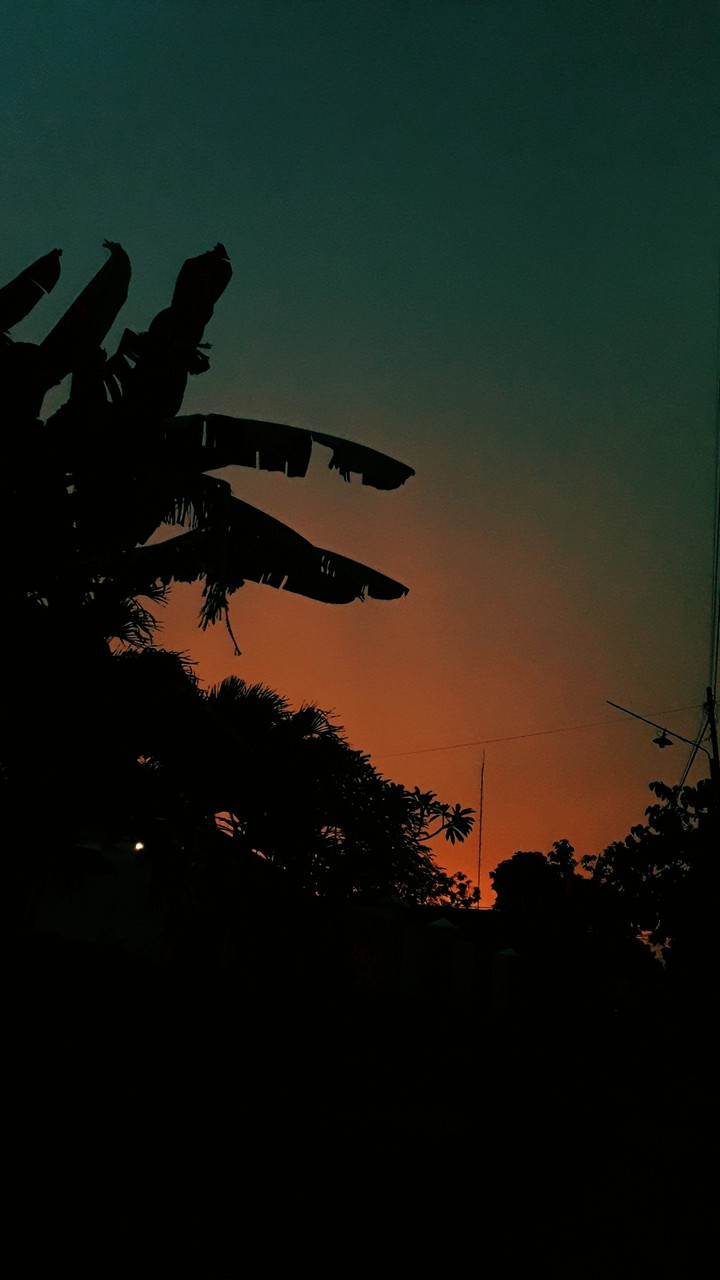 sunset
