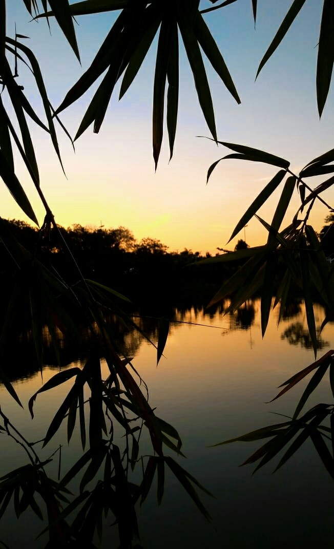 End a day