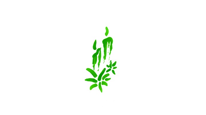 christmas green candles