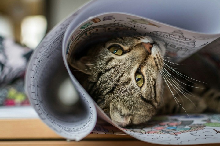 Lori We