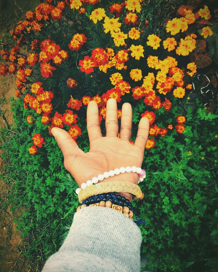 feel
