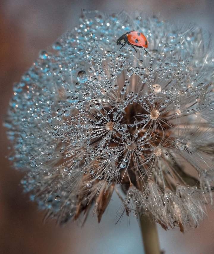 (｡◍❤ ᵌ❤｡◍)