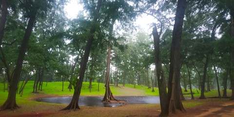 Goa