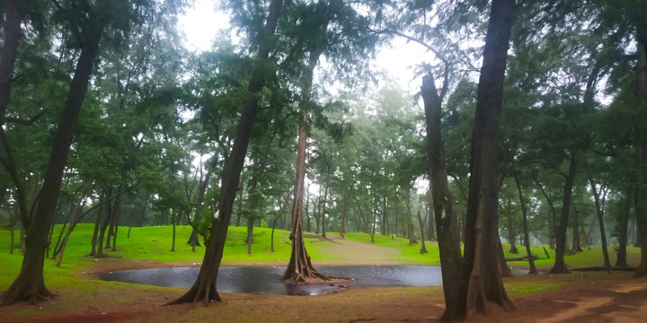 Goa