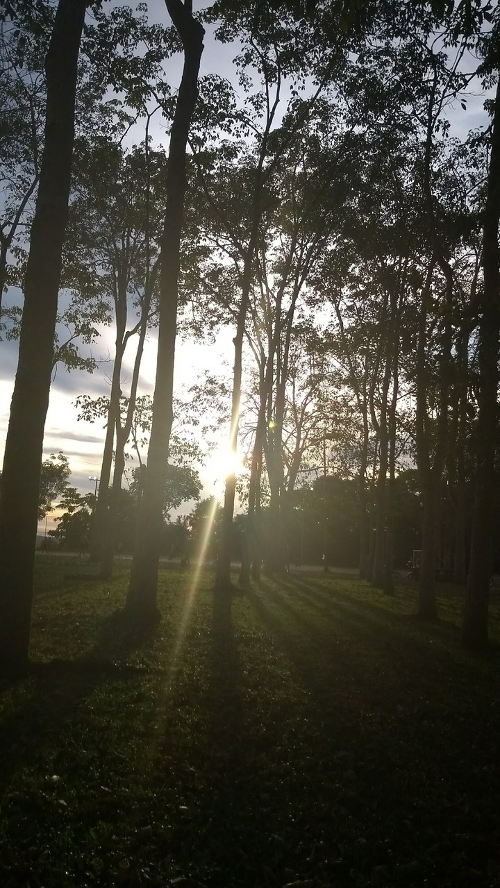 sol da tarde espaço verde.