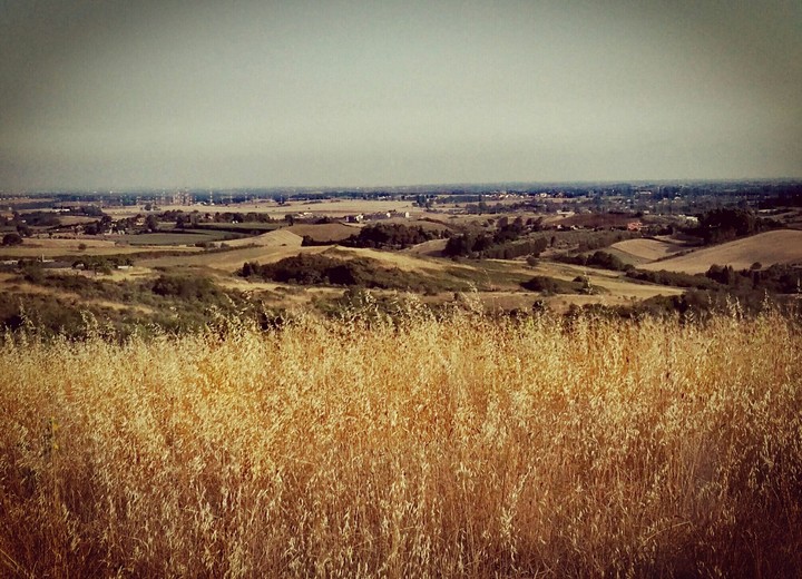 Countryside