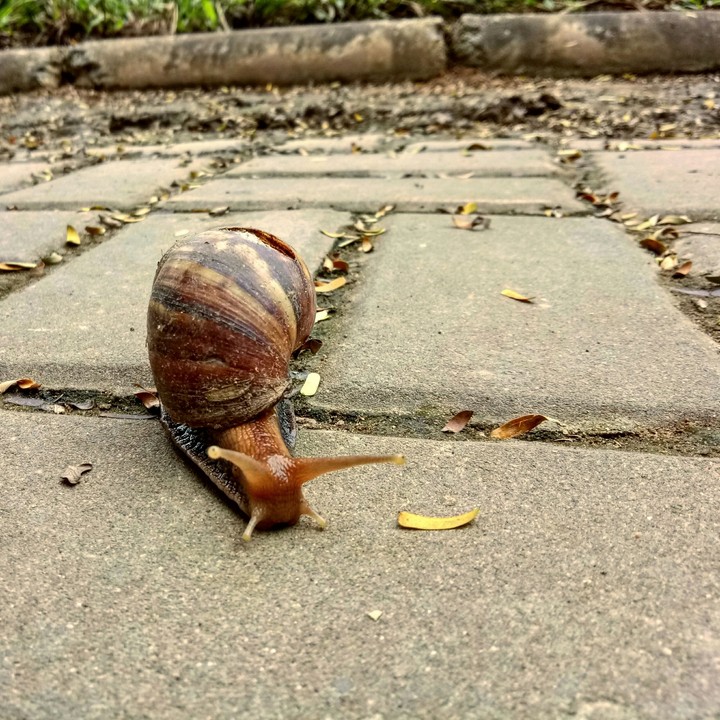 running for his life