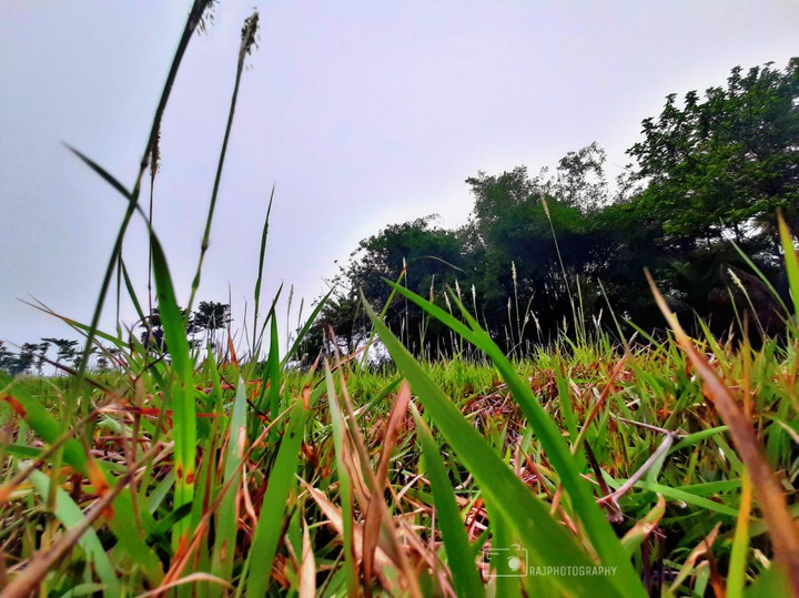 mobile click